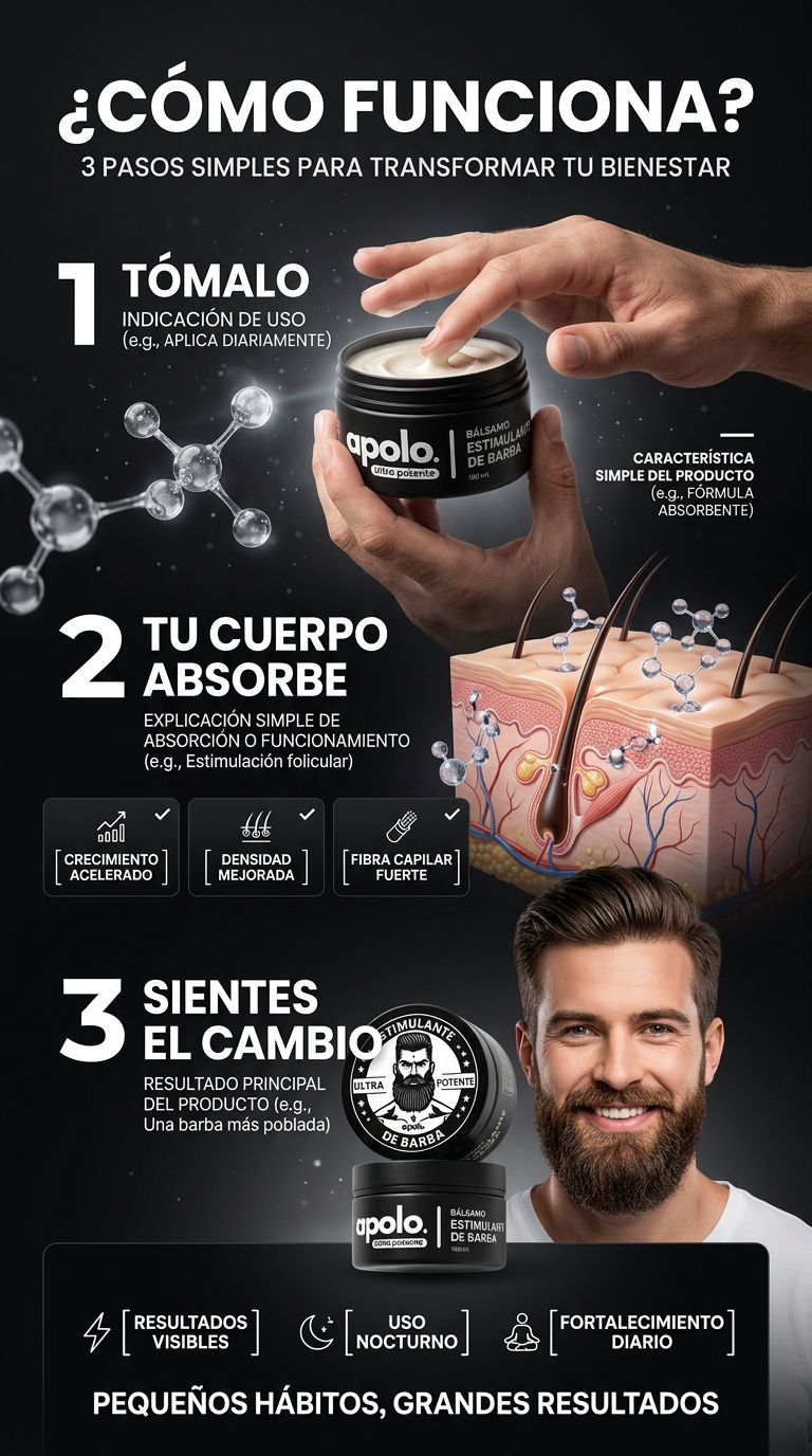 WINDBOSS — Cómo funciona