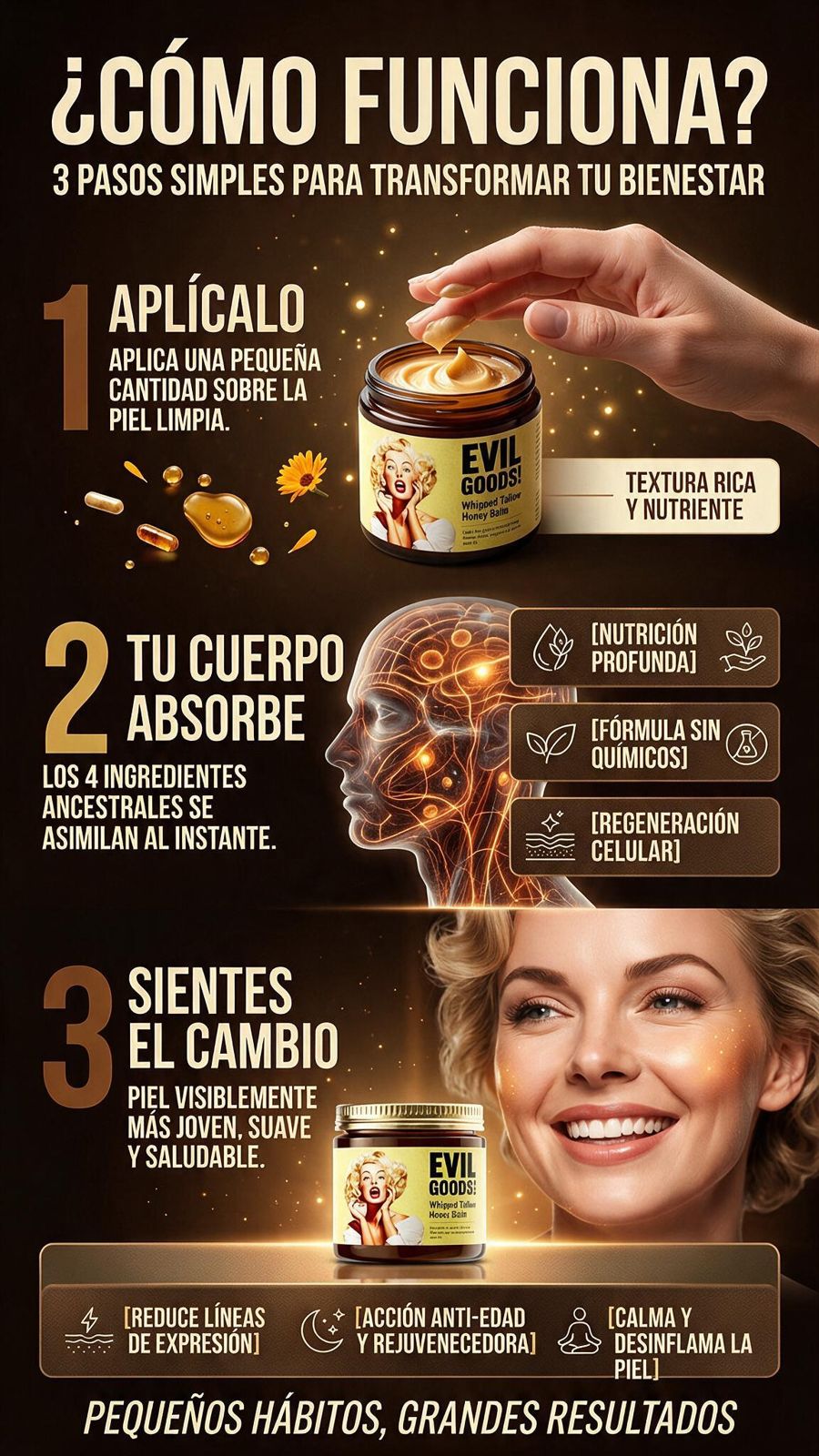 WINDBOSS — Cómo funciona