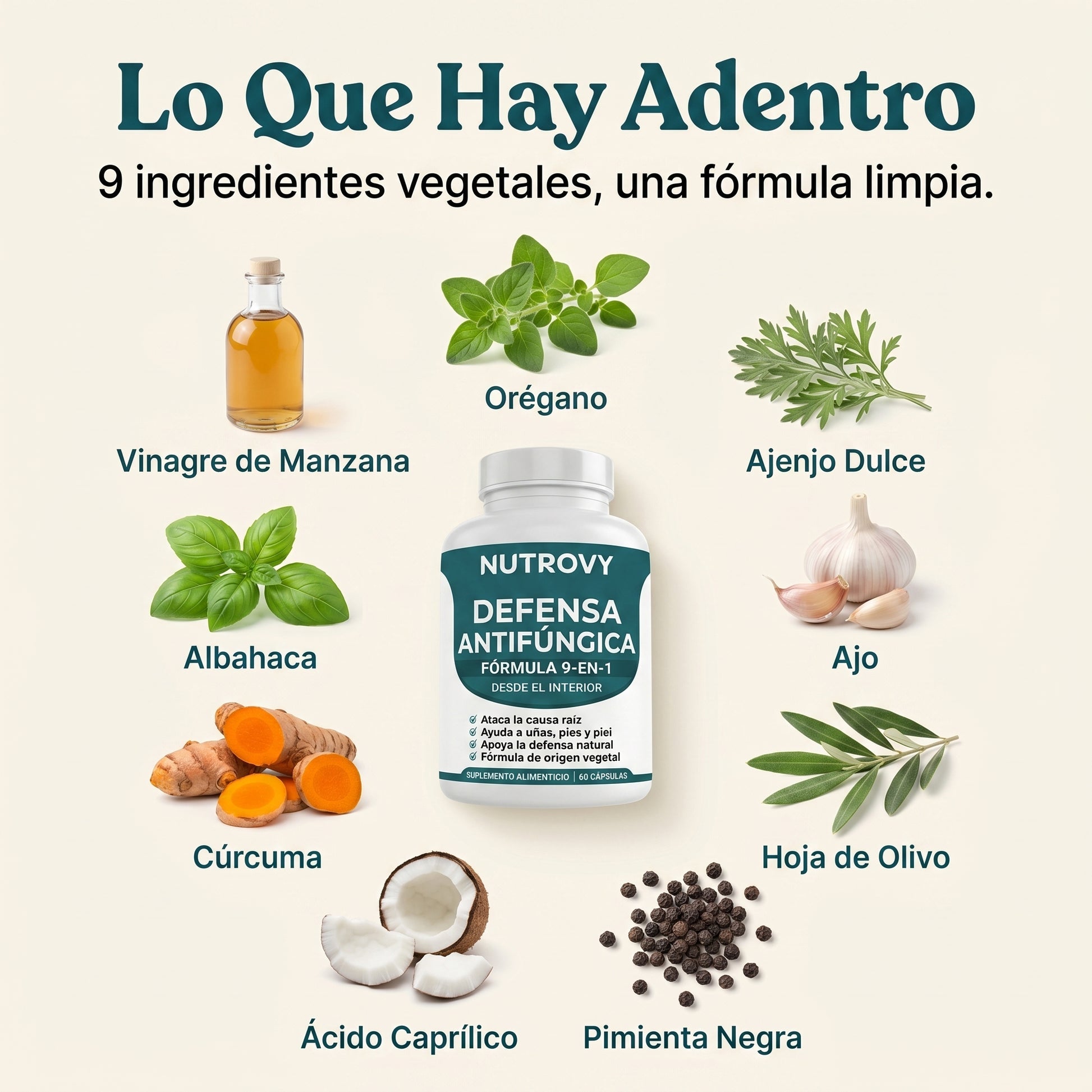 Fungus Eliminator — Lo que hay adentro · 9 ingredientes vegetales